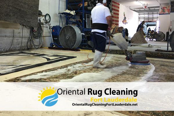 Area Rug Cleaning Services in Fort Lauderdale