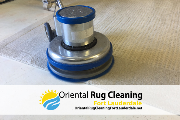 Area Rug Cleaning Service In Fort Lauderdale
