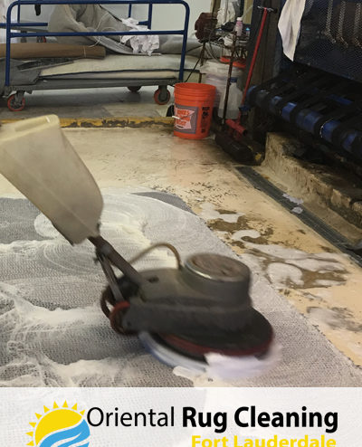 Rug Cleaning Experts