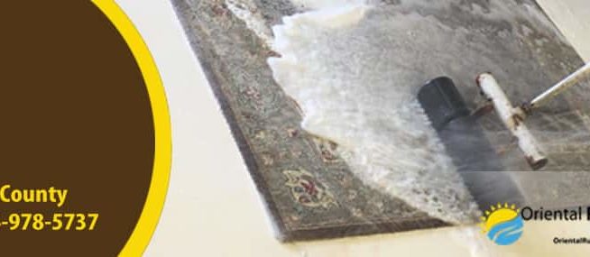 Area Rug Cleaning