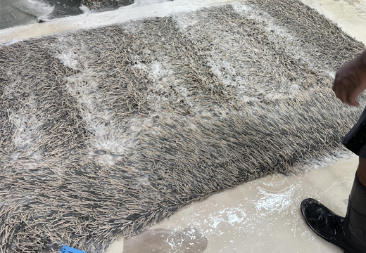 Expert Wool Rug Washing