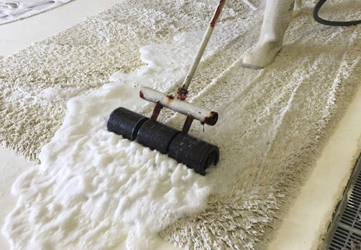 Wool Rug Cleaning Service