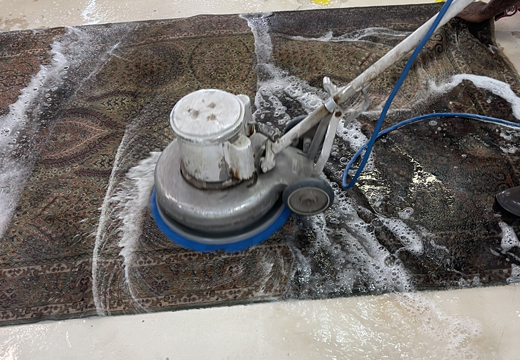 Best Rug Cleaning