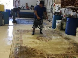 Cleaning Area Oriental Rug