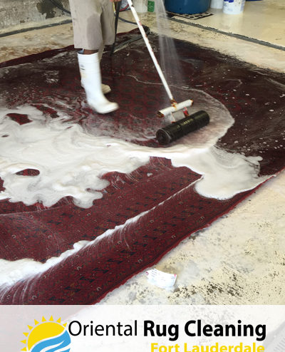 Pet Odor Removal Service in Fort Lauderdale