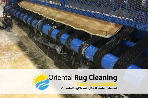 Area Rug Cleaning Services in Fort Lauderdale