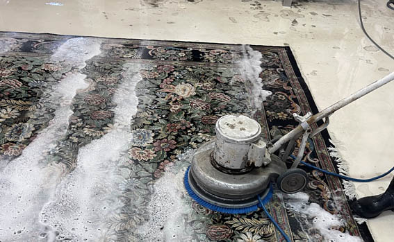 Area Rug Cleaning Services
