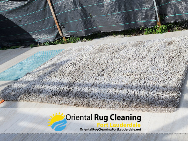 Oriental Rug Cleaning Service