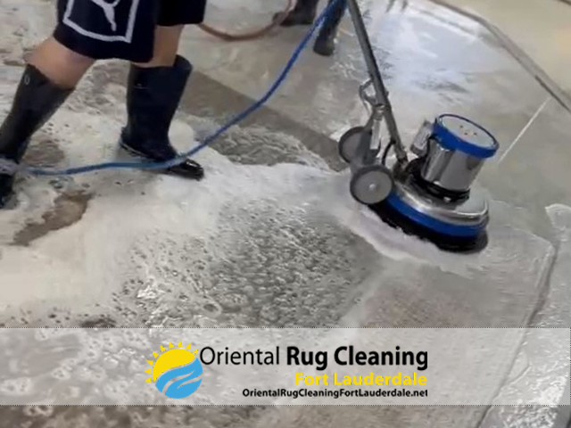 Pet Odor and Stain Removal Service