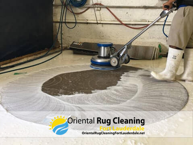 Pet Odor and Stain Removal
