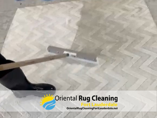 Rug Cleaning Service