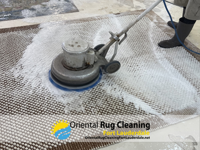 Sisal Rug Cleaning