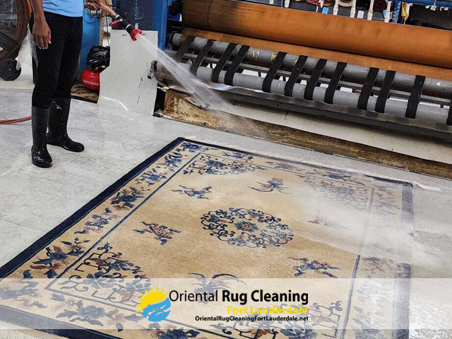 Expert Rug & customization