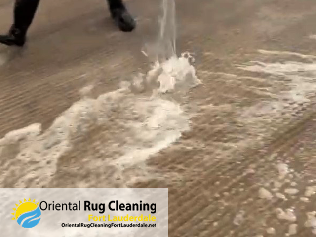Rug Pet Stain Removal Experts