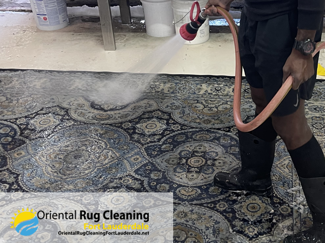 Area Rug Cleaning